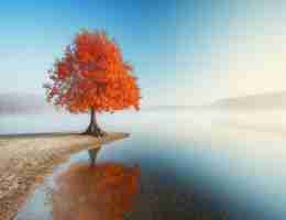 h5 excel插‍件‍